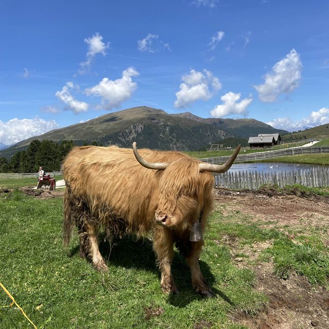 意大利🇮🇹 ｜ 阿爾卑斯山的絕色美景盡收眼底🌟 - Dolomites ⛰️
