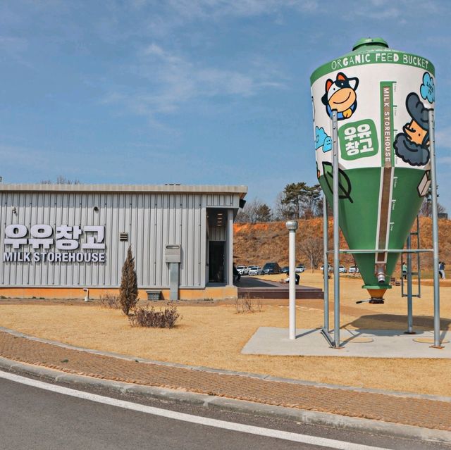 실제 젖소를 볼 수 있는 아이랑 갈만한 카페 우유창고