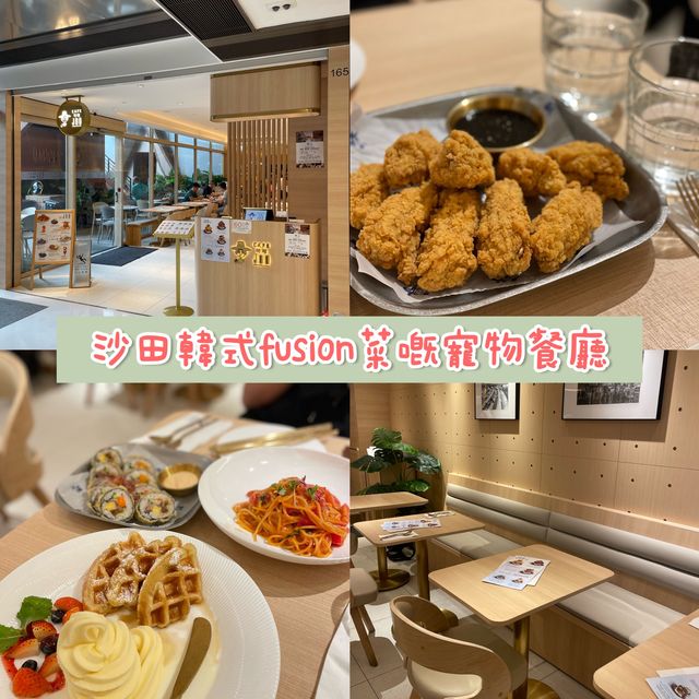 香港沙田｜韓式fusion菜嘅寵物餐廳