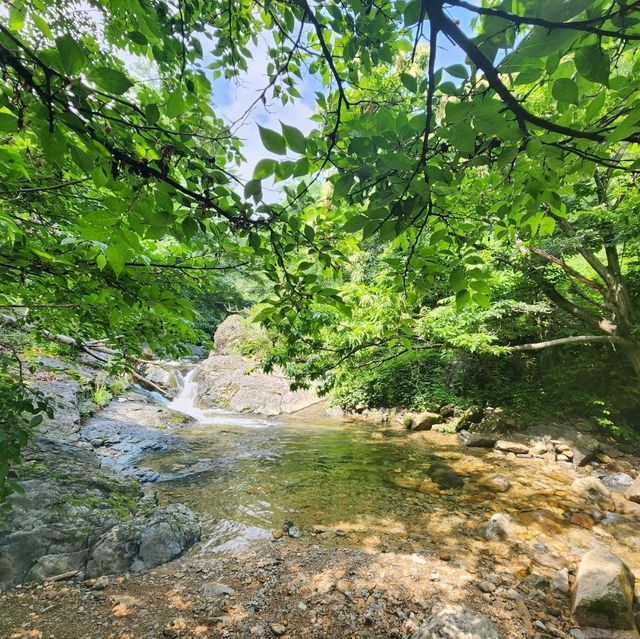 늦여름에 남산계곡에서 힐링을~♡