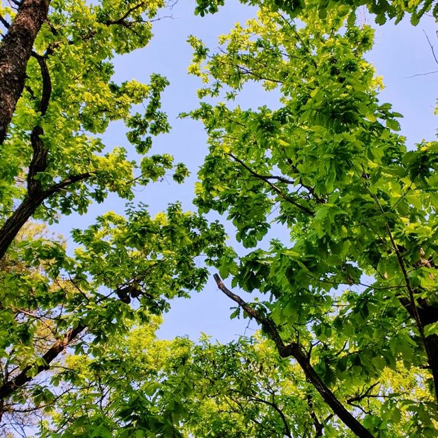 🏔️ 인천과 시흥의 야경을 볼 수 있는 등산여행, 소래산에서!