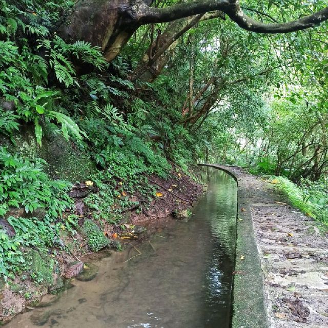 祕境溪流古道 ~ 狗慇勤古道