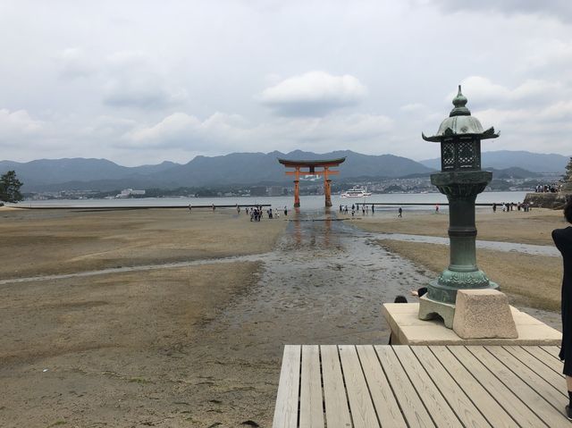 日本宮島｜必到打卡位海上大鳥居