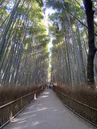 Japan Travels: Arashiyama