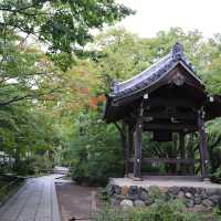 京都的藝術文化與自然