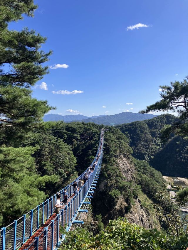 후덜덜하고 짜릿한 소금산 출렁다리 🥶