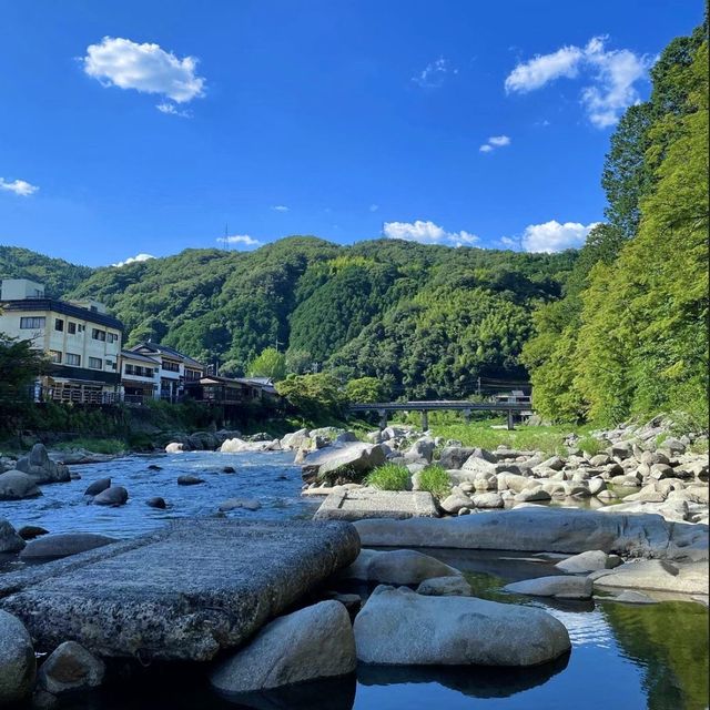 🌳 도심에서 벗어나 자연과 일체되어 산림욕을 즐길 수 있는 고란계곡을 방문해보세요! 💚