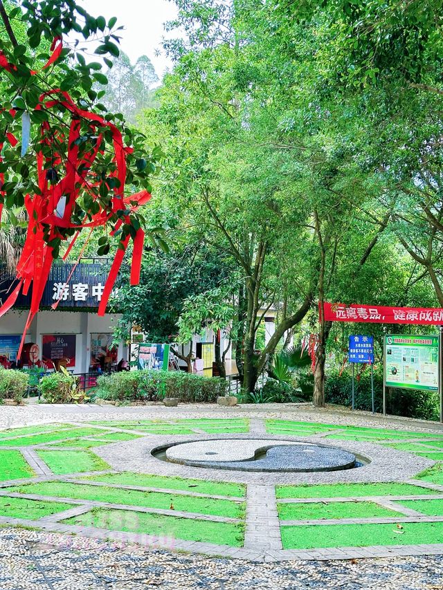 ⭐️增城白水寨風景名勝區⛰️