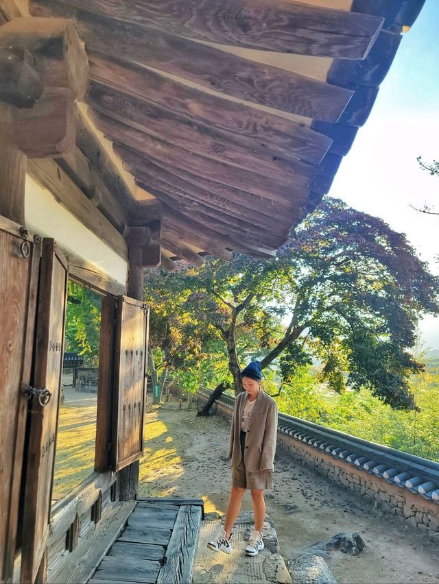 늦가을 즐기기 좋은 밀양여행지🍂