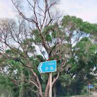 請注意！政府全新觀光休閒景點！T·PARK，源·區！