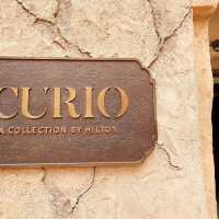 Traditional Arab Stay with Curio Collection