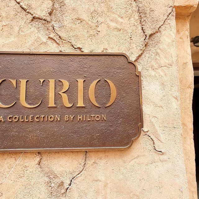 Traditional Arab Stay with Curio Collection