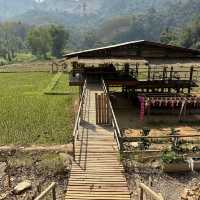 วิสาหกิจชุมชนบ้านสบขุ่น : กาแฟสร้างป่า