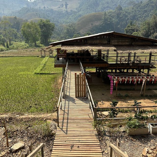 วิสาหกิจชุมชนบ้านสบขุ่น : กาแฟสร้างป่า