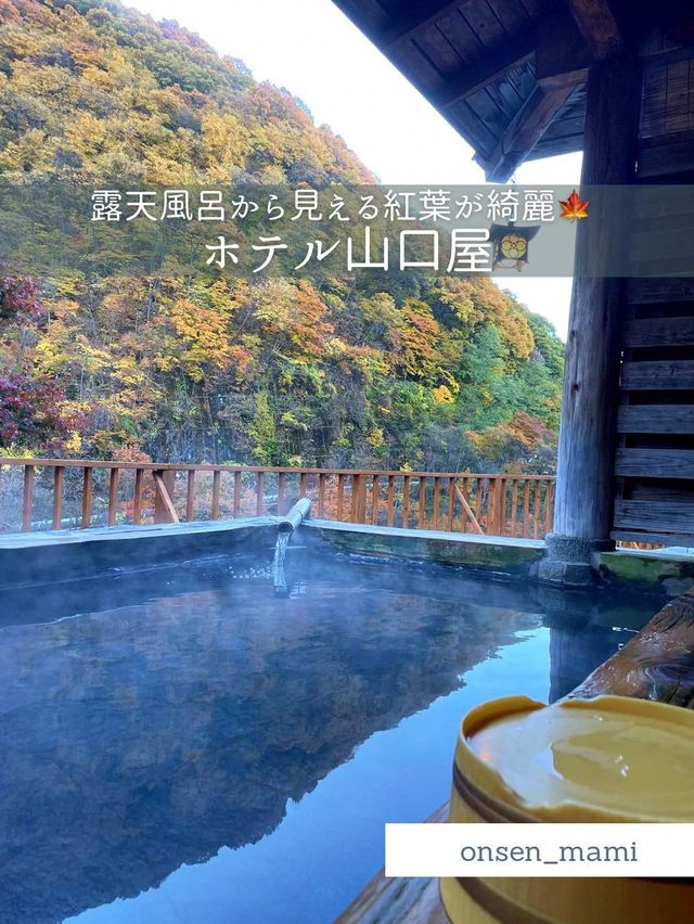 【群馬 老神温泉】綺麗な紅葉を見ながら温泉に入れる宿♨️