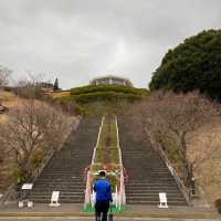 高處欣賞鹿兒島美景、挑戰長長滑板車道