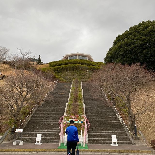 高處欣賞鹿兒島美景、挑戰長長滑板車道