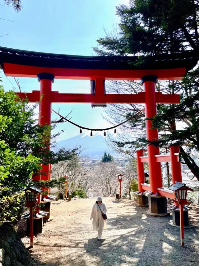 🇯🇵🗻富士山必打卡點📸新倉富士淺間神社⛩️