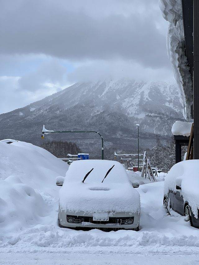 北海道 | 冬季自駕游小貼士分享⚠️必收藏