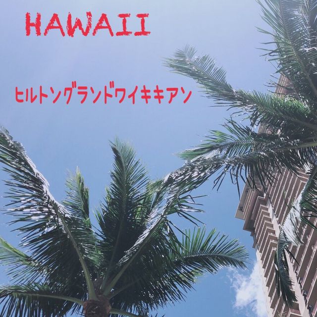 アロハ〜最高🤙