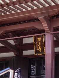 東京秘密賞塔的好地方—增上寺