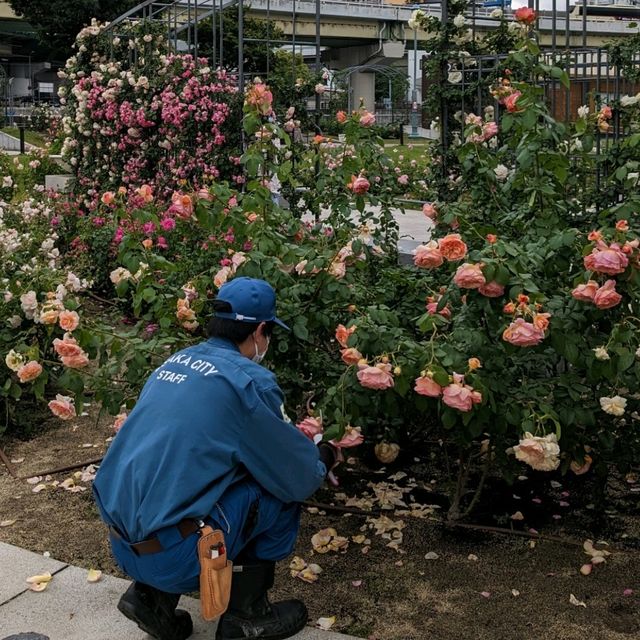 中之島バラ園の、Ｒ.RiversideGrill＆BEERGARDEN