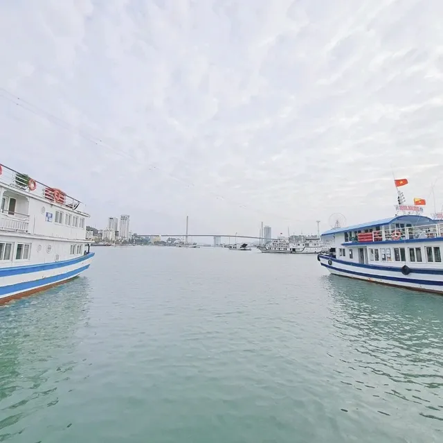 下龍灣🇻🇳🏞念念不忘的海上貴林