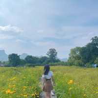 ชี้เป้าถ่ายรูป ฮีลใจ ถ้าไปลพบุรีห้ามพลาด