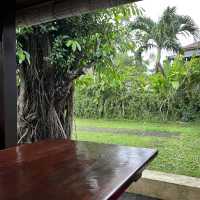 Good quality food in Seminyak