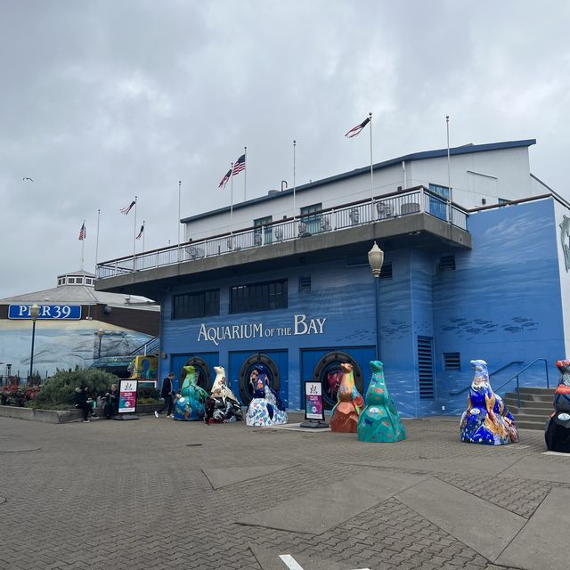 Aquarium of the bay, ซานฟรานซิสโก, อเมริกา