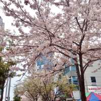 Famous Haeundae District 