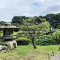 【東京観光】東京の癒しスポット🌳