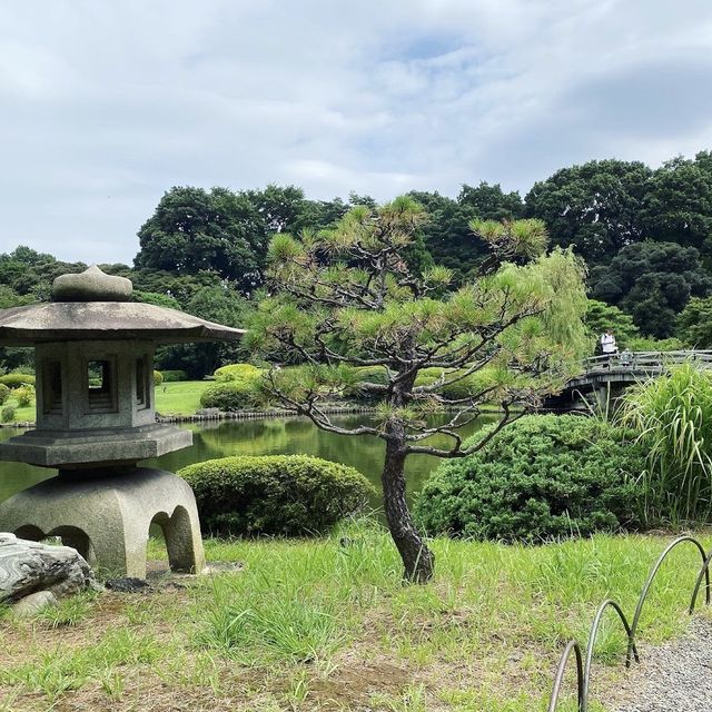 【東京観光】東京の癒しスポット🌳