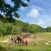 Kanta Elephant Sanctuary