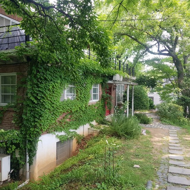 광주에서 예술을 즐기며 숙박하기 좋은 감성숙소 호랑가시나무언덕게스트하우스