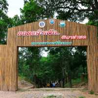 ผาหำหด vs ผาสุดแผ่นดิน จังหวัดชัยภูมิ