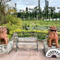 📍 美らヤシパークオキナワ・東南植物楽園/沖縄