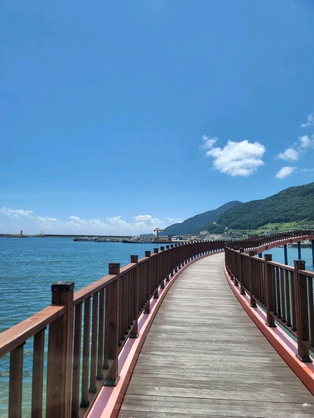 다대항과 다포항을 잇는 후릿개다리🌁