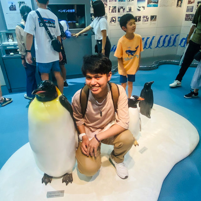 พิพิธภัณฑ์สัตว์น้ำท่าเรือนาโกย่า 名古屋港水族館