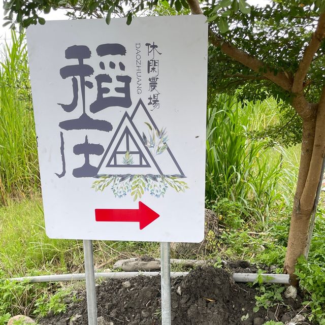 宜蘭新景點-稻庄休閒農場，孩紙放風媽媽放空好所在😆