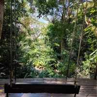 Tropical Spice Garden