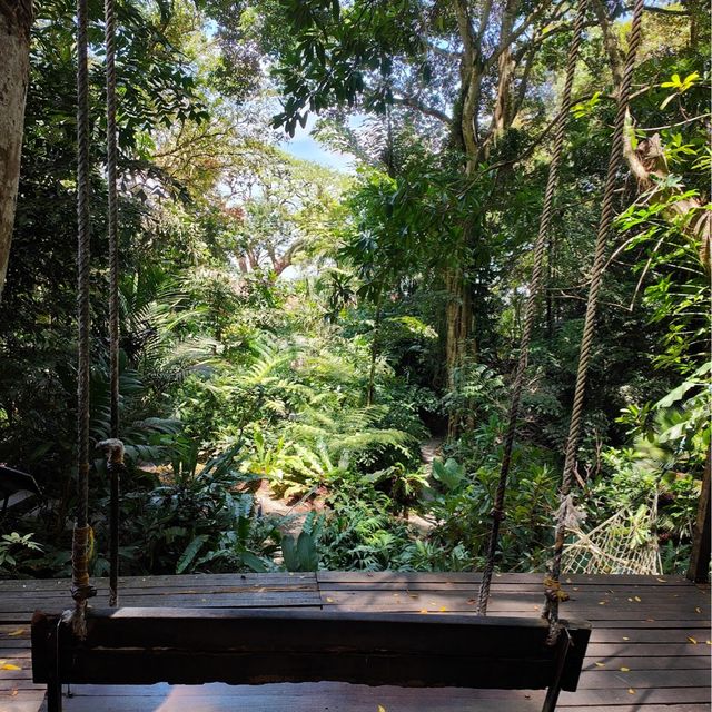 Tropical Spice Garden