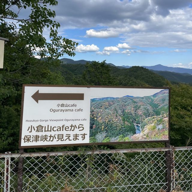 【ペットとお出かけ】小倉山cafeでのんびりと寛ぐ