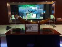Noah's Ark Hong Kong 🎯✨