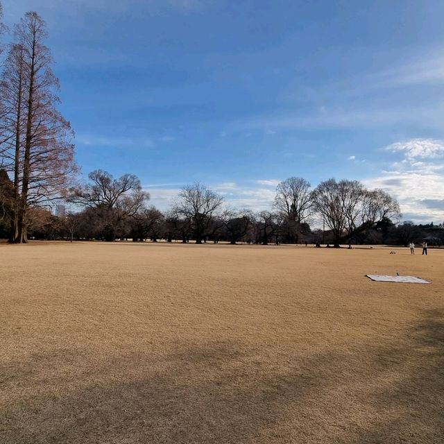 도쿄 도심 속에 이렇게 큰 공원이⁉️🏞