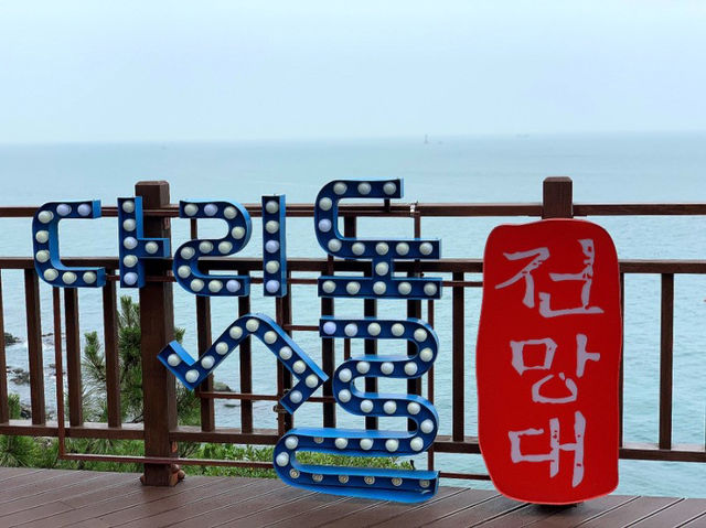 부산 청사포 투명 다리가? “청사포 다릿돌전망대”🌁