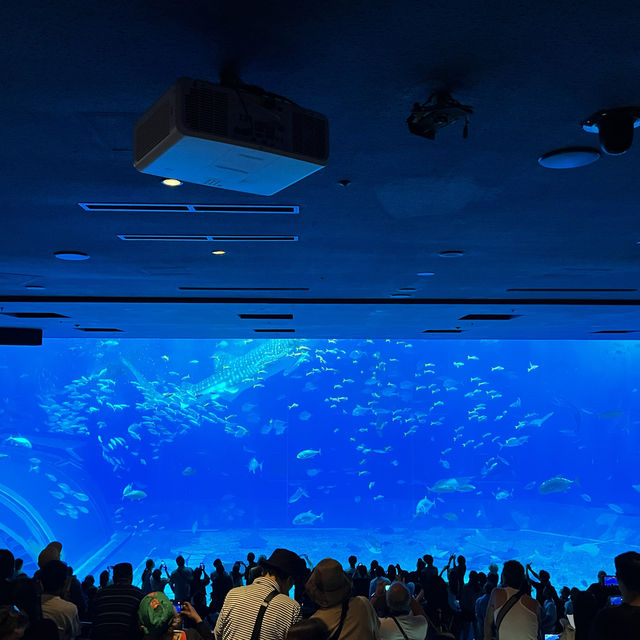 美麗海水族館