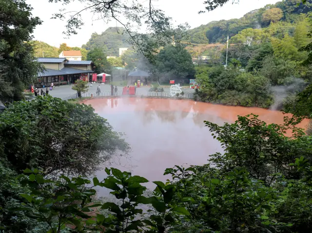 【大分県】別府名物「別府 地獄めぐり」③血の池地獄〜龍巻地獄👹