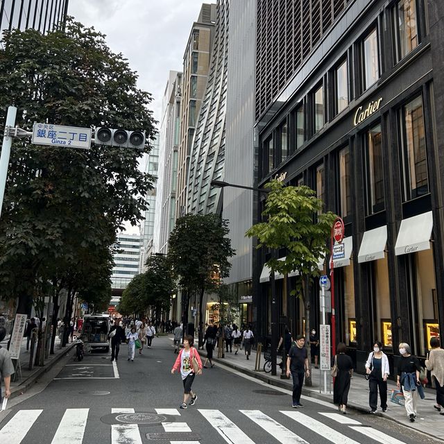 도쿄 긴자거리 🚦 일요일에는 차없는 거리🚦