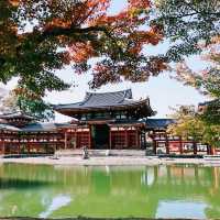 Byodo-in Temple Kyoto 